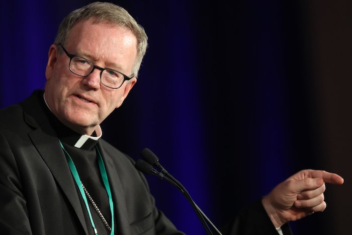 Bishop Robert Barron appointed to Diocese of Winona-Rochester | thecentralminnesotacatholic.org/bishop-robert-…