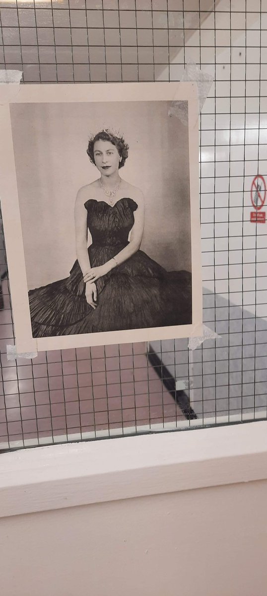 Ward 5 James Cook tweet media