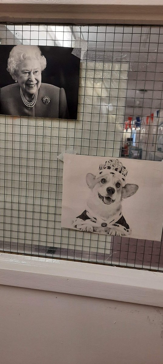 Ward 5 James Cook tweet media