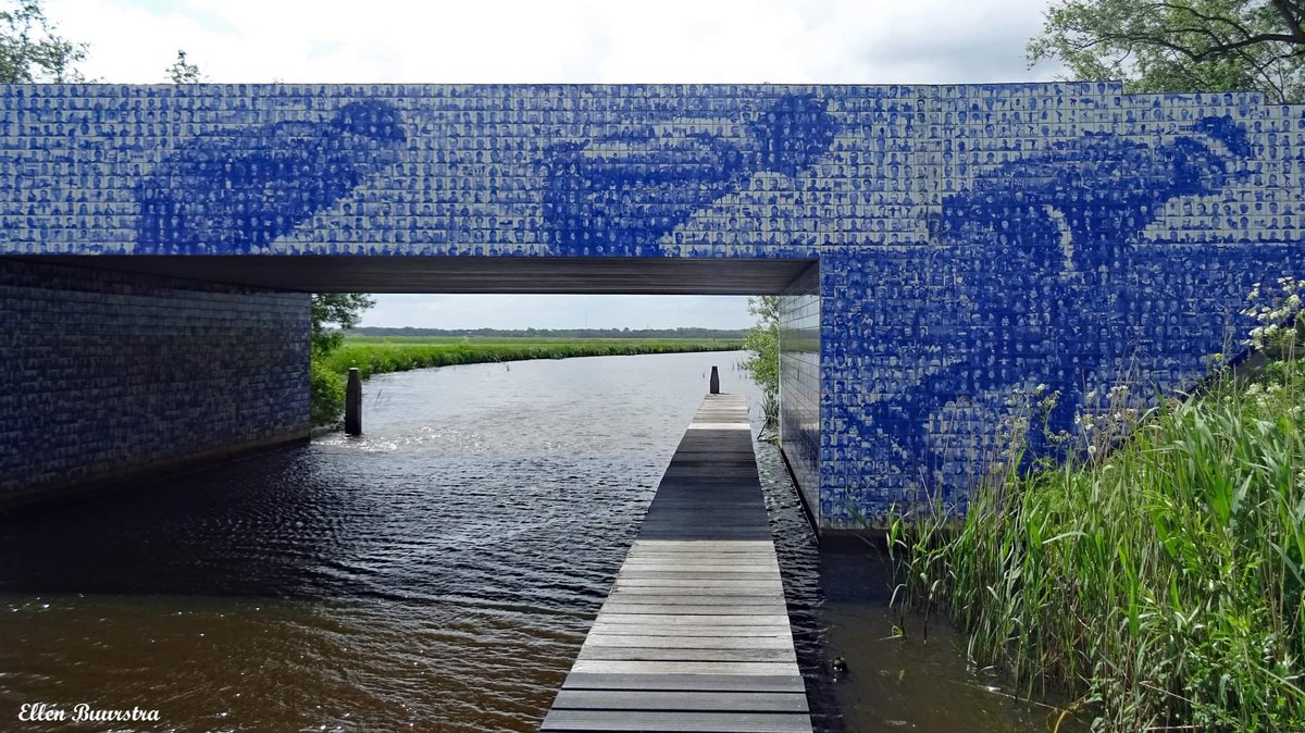 Pietsje Hannema Greidanus tweet media