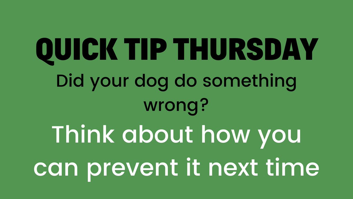 Prevention is better than cure! 

#twitterdogcommunity #dogsoftwitter