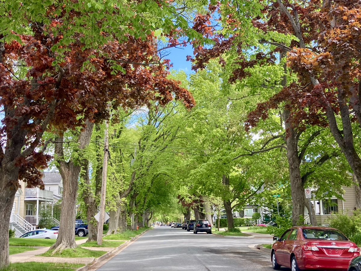 ElizabethHFX's tweet photo. Location and character are abound in this beautiful West End Halifax home. If you wish to be near all the downtown activities and amenities then this is the place for you. What a wonderful investment at 699K! #6331Vienna #WestEnd #mls #downtownrealestate #yhzrealestate https://t.co/sem2XTt9hF