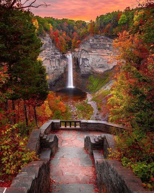 Beautiful photo💚