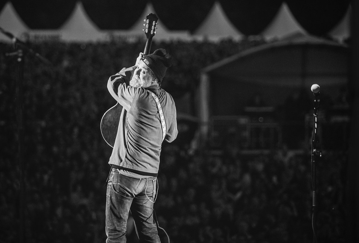 Ivi Rebová tweet media