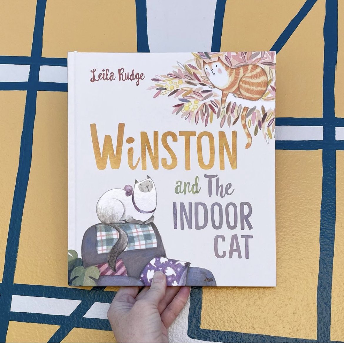 GemmaPatience's tweet photo. @picturebookbc @JacquelineHarve A1. Here are some of my favourite cat-themed picture books #pucbookbc https://t.co/mLi3aKCof6