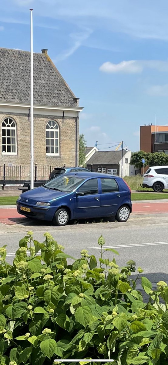 Hallo <a href="/Sliedrechtgem/">Gemeente Sliedrecht</a> deze auto staat er nu een jaar. Ik heb Fixi melding gedaan en reactie gekregen. Gemeente kan er niets mee en heeft het doorgegeven aan de politie. Maar hij blijft er maar staan… 2 opties: jullie lossen het op of wij doen het. Ik zou voor de eerste optie gaan