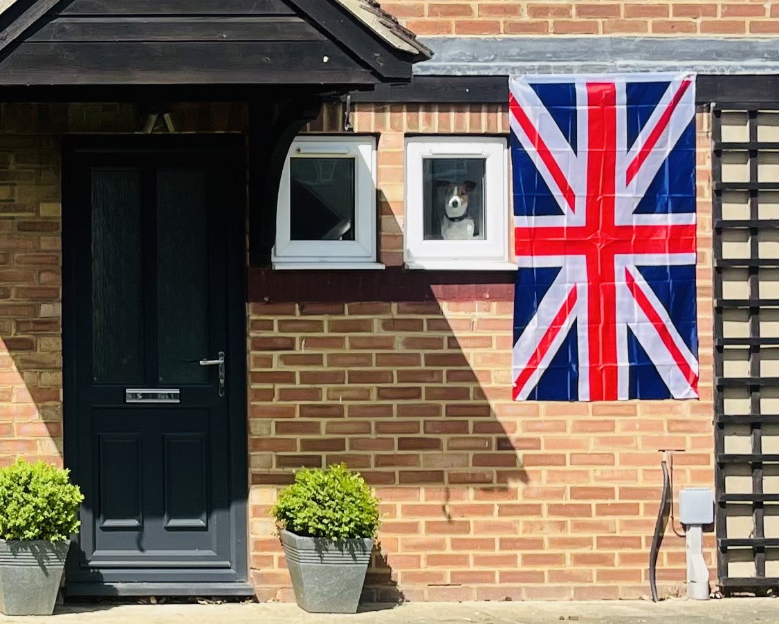 Dog save The Queen 🇬🇧 #GodSavetheQueen  #PlatinumJubilee