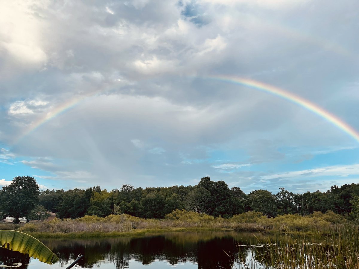 Love where you live.