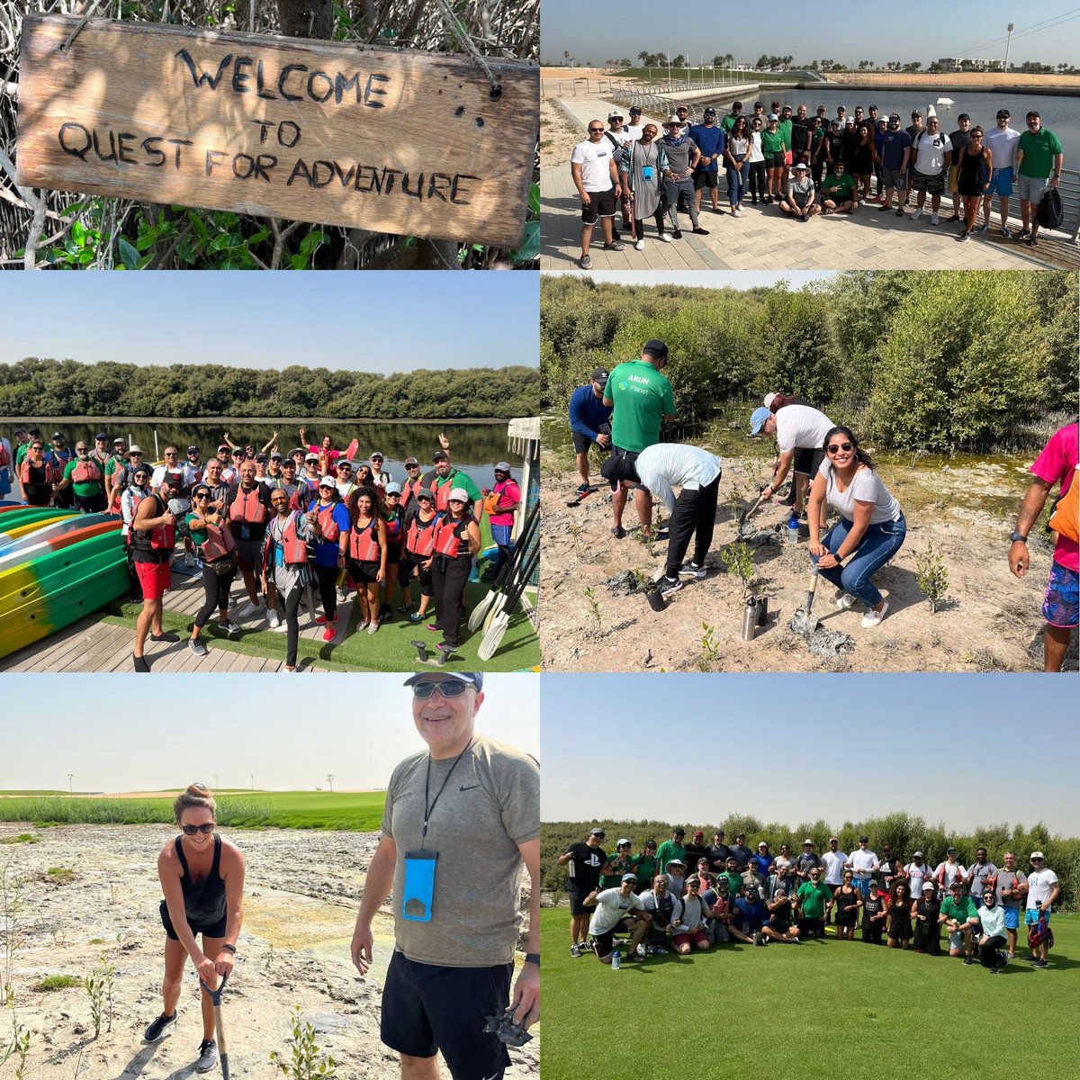 🌳 #DellTech’s #UAE team led by Planet ERG, planted 72 mangroves #trees that will provide shelter to a range of wildlife species birds, deer & honey bees, aside from storing carbon 10 times more efficiently than terrestrial ecosystems long term. #ProgressMadeReal #sustainability