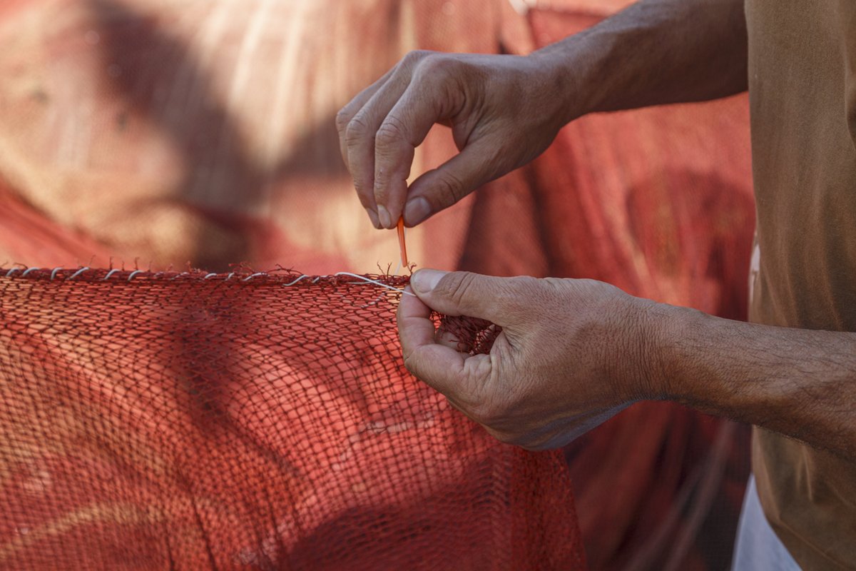 puertodecadiz's tweet photo. Mientras un redero repara las artes de un barco de pesca en nuestro puerto, se nos ha colado en la zona de luz la sombra de una gaviota que volaba cerca, equilibrado la imagen y ofreciendo un valor añadido mágico y bello.
📷 ¿os gusta? 🙂 #cadiz #portsofspain #pesca #redero https://t.co/CRGGdMCPiC