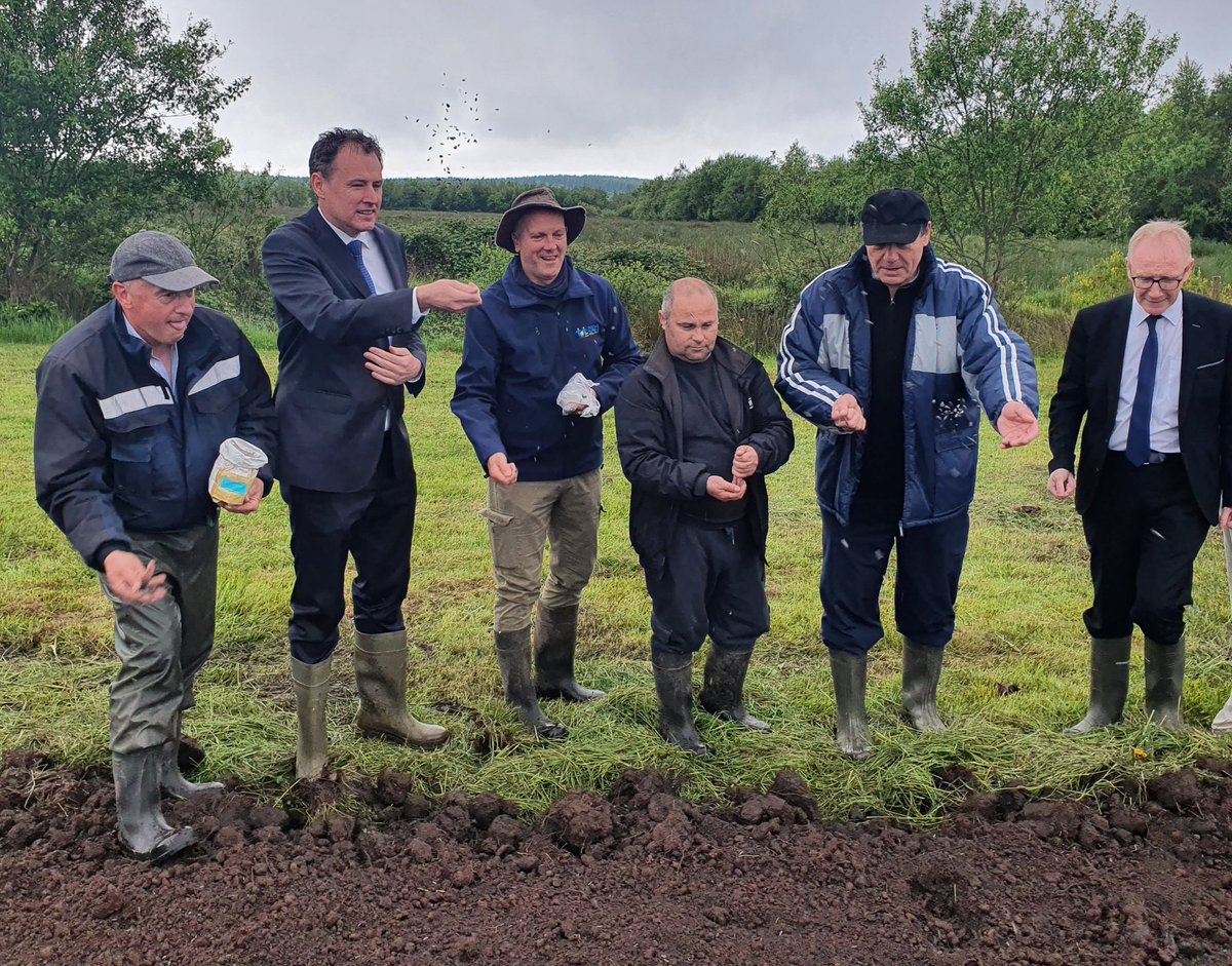 Social Farming Ireland 🥕🐄🌾 tweet media