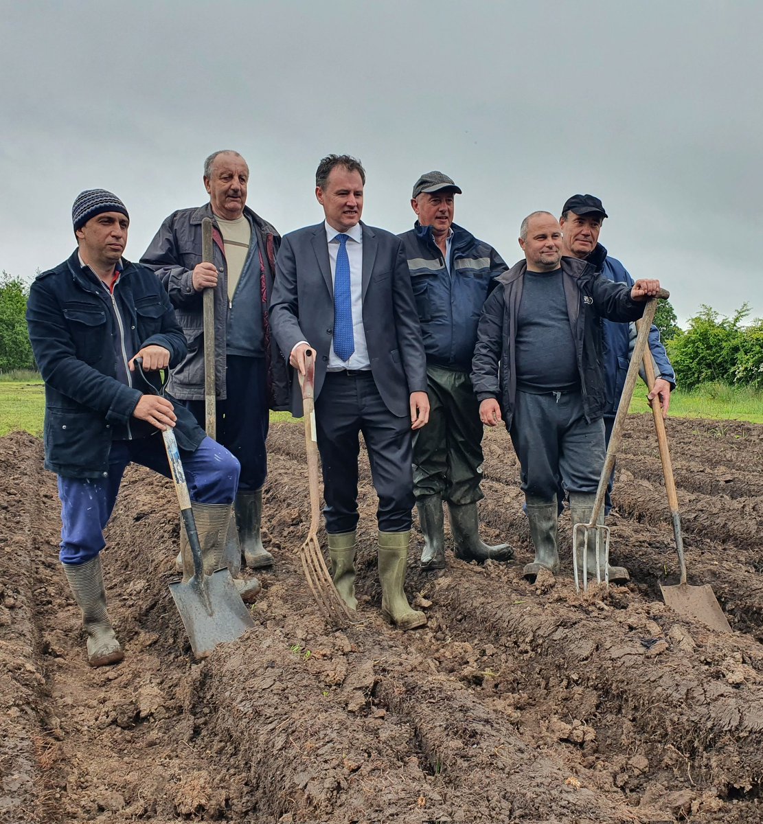Social Farming Ireland 🥕🐄🌾 tweet media