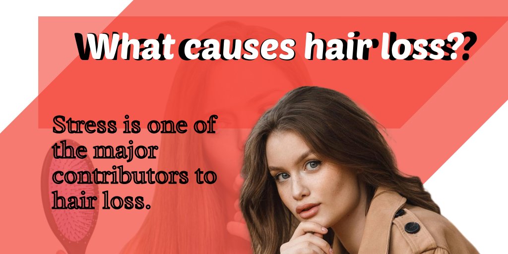 pious_beauty's tweet photo. In reality, it’s not as simple as blaming stressful events or your immediate environment. 
Read for more information about hair loss- https://t.co/kKJ3GDxOP5
#hairlosstreatment #beauty #beautytips #NewYork #hairstyles https://t.co/Fvs8HXXgnk