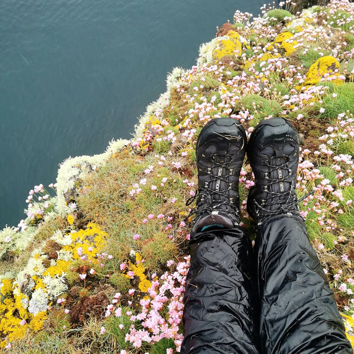 Hebridean_Way's tweet photo. Resting amongst the colourful sea pinks.....

📸: @heathermackayyoung

#visitouterhebrides #hebway #hebrideanway https://t.co/dUtD1FPwAf
