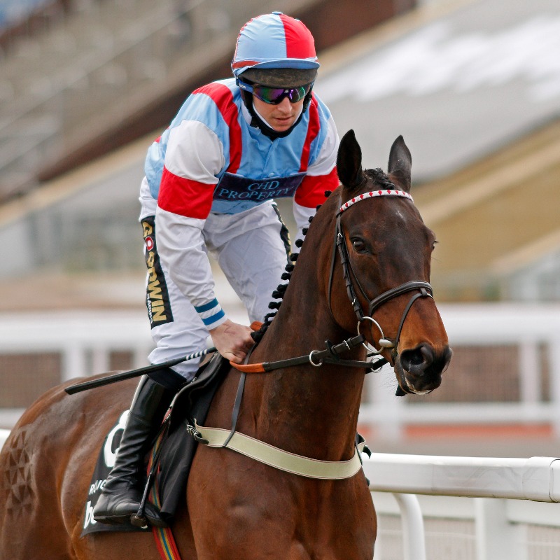 thorough_bid's tweet photo. CATALOGUE LIVE!

☑️ G1 winner ITCHY FEET
☑️ G2 winner ROUGE VIF
☑️ G1 winner BACARDYS' sister, ICOVA
☑️ Top pointers from @MonbegStables, @colinboweracing &amp; @mickgoff5
☑️ G1 Cross Country prospect, ENJEU D'ARTHEL

Find your #JuneSale lot before bidding begins - 9am, Fri 10 Jun 👇