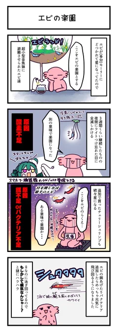 シュリンプ飼育の奥深さを知るRPG
https://t.co/EsOdmoV547 