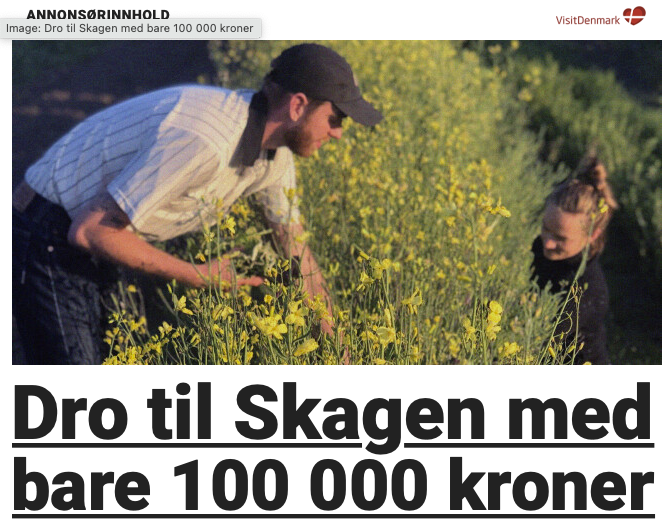 Elisabeth tweet media