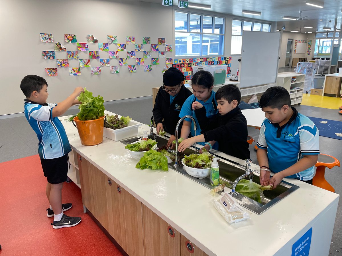 NorthbournePS's tweet photo. Growing, Harvesting, Preparing &amp; Sharing at Northbourne. #IamNorthbourne https://t.co/htwzDPLTvS