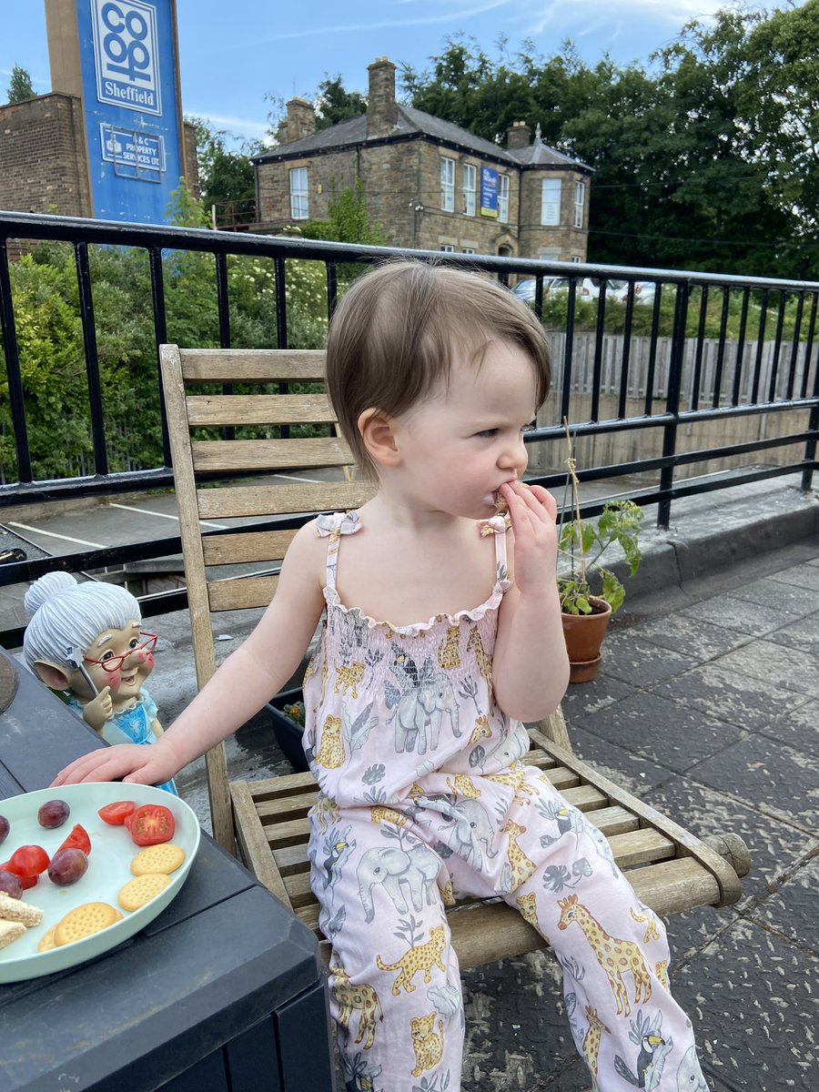 SuperSquirrels_'s tweet photo. Day 2 of #30dayswild and we’re having our lunch outside! You can still appreciate wildlife when you don’t have a proper garden! https://t.co/XJi5I9tiqD