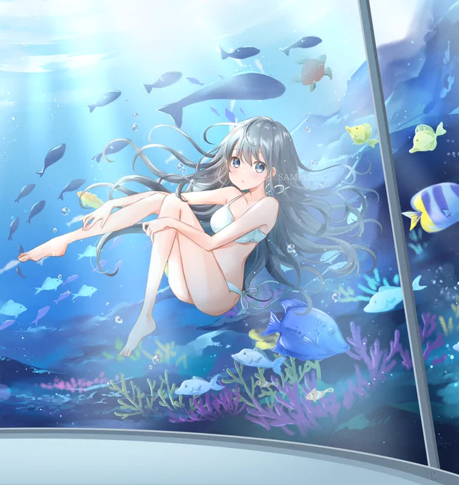 commission🐠 