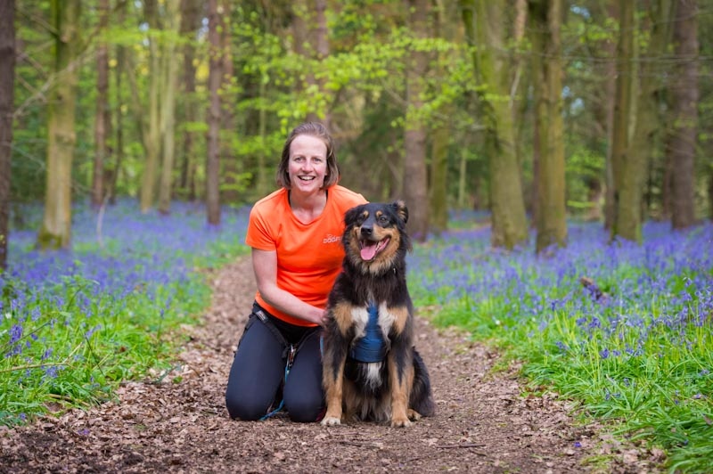 dogfituk's tweet image. We are often asked if it’s ok to run a dog in the hotter months of the year. How often and when you run your dog boils down to a number of factors.

Read our blog for some of our tips regarding what to look out for blog.dogfit.co.uk/2022/05/too-ho… 
#heatstrokeindogs #dogfituk #dogswhorun