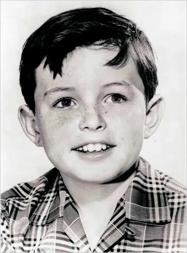 Happy Birthday to Jerry Mathers .. 
