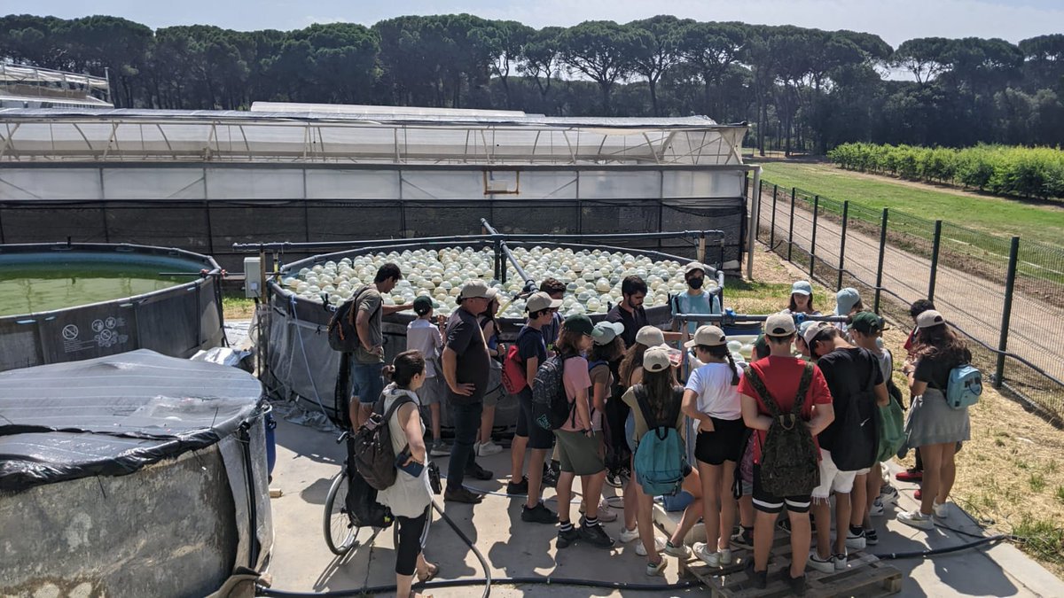 Lifespot tweet media