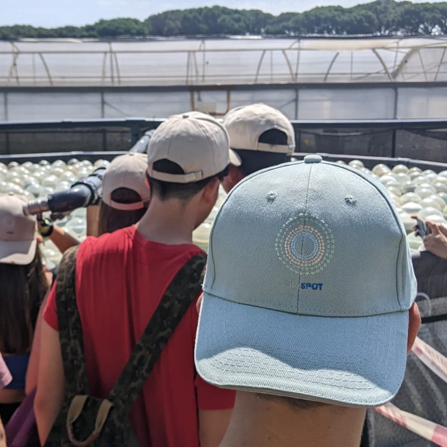 Lifespot tweet media