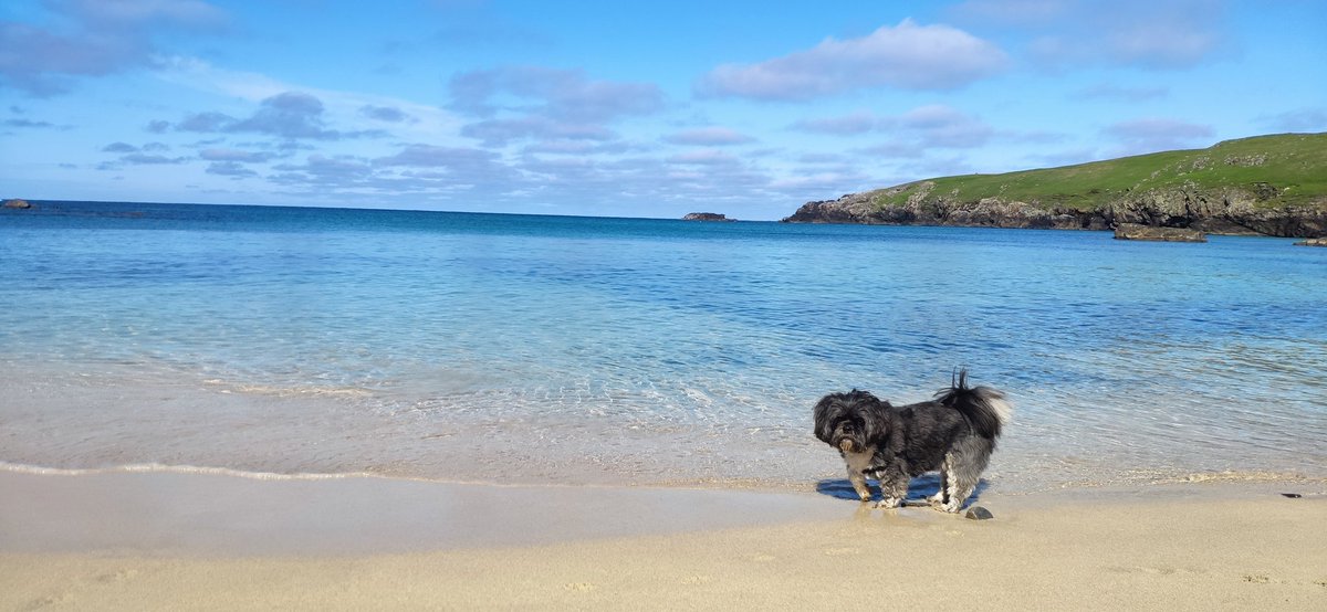 Another day another beach.