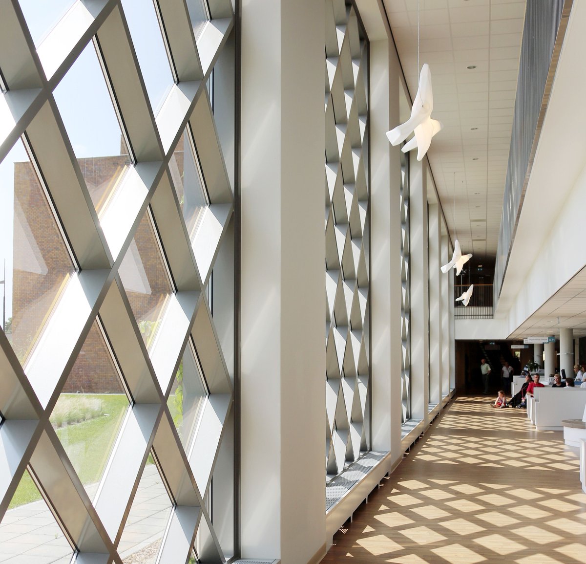 Bernhoven tweet media