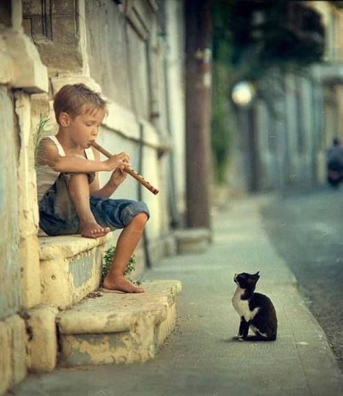 SharyarBukhari's tweet photo. ہم  اتنے  پریشان  تھے  کہ  حال دل سوزاں...
ان کو بھی سنایا کہ جو غم خوار نہیں تھے...

#BaNjAarA
#بنجارا https://t.co/ag4V9gKNYi