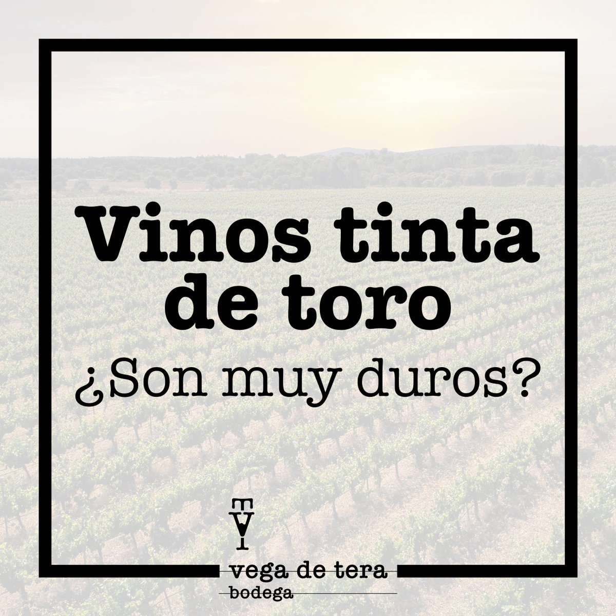 Tradicional esta uva se empleaba para hacer vinos crianzas y reservas.

Estos vinos más añejos y “duros”son los que se han asociado a esta variedad. 

Sin embargo, “tinta de toro” es una uva del tipo tempranillo que se puede emplear para hacer vinos más suaves y afrutados.