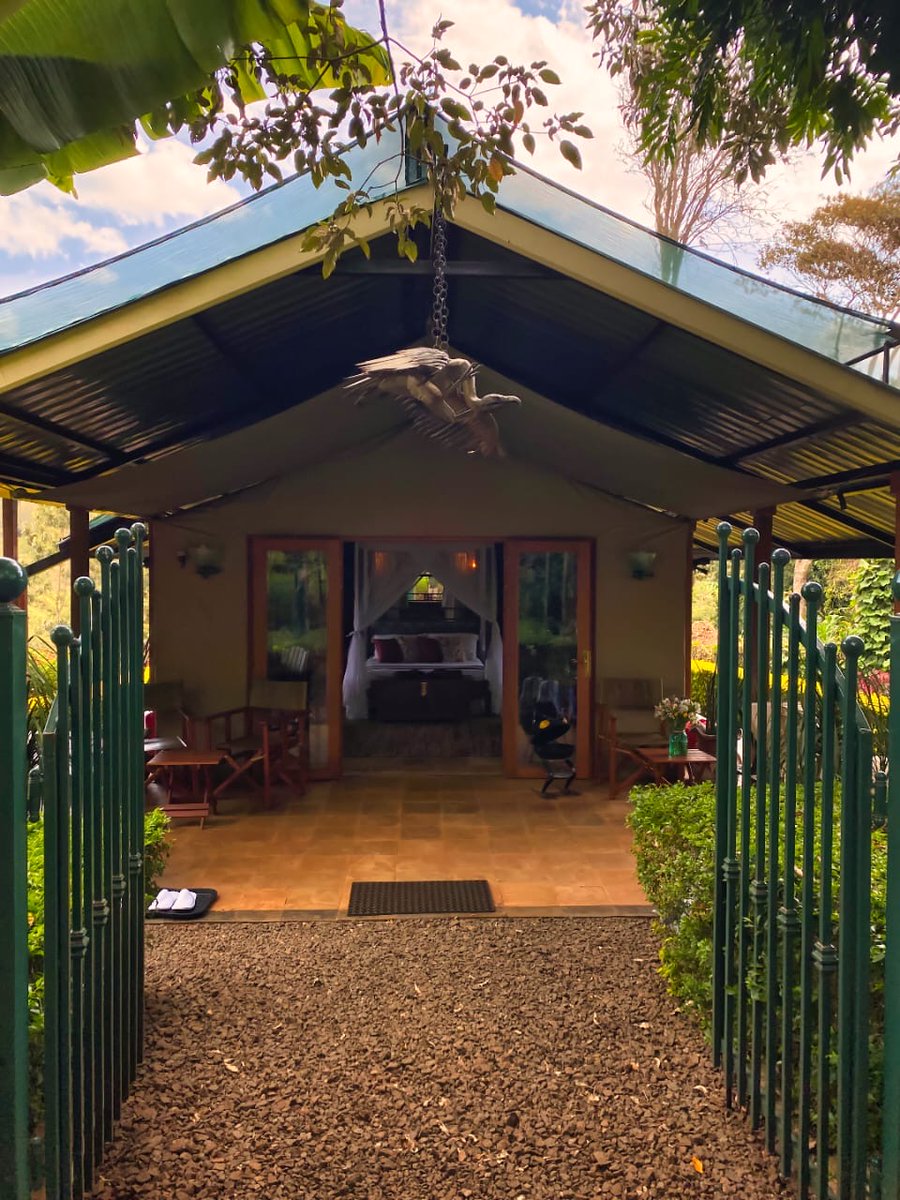 Holiday Finder tweet media