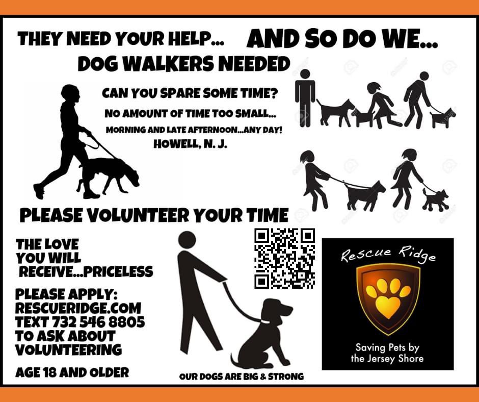 Do YOU LOVE dogs? Our friends <a href="/rescueridge/">Rescue Ridge</a> are looking for volunteers! Can you spare some time to help walk, play with, snuggle and maybe even help out with kennel care for some wonderful homeless animals? Please apply to volunteer at rescueridge.com or text 732 546 8805