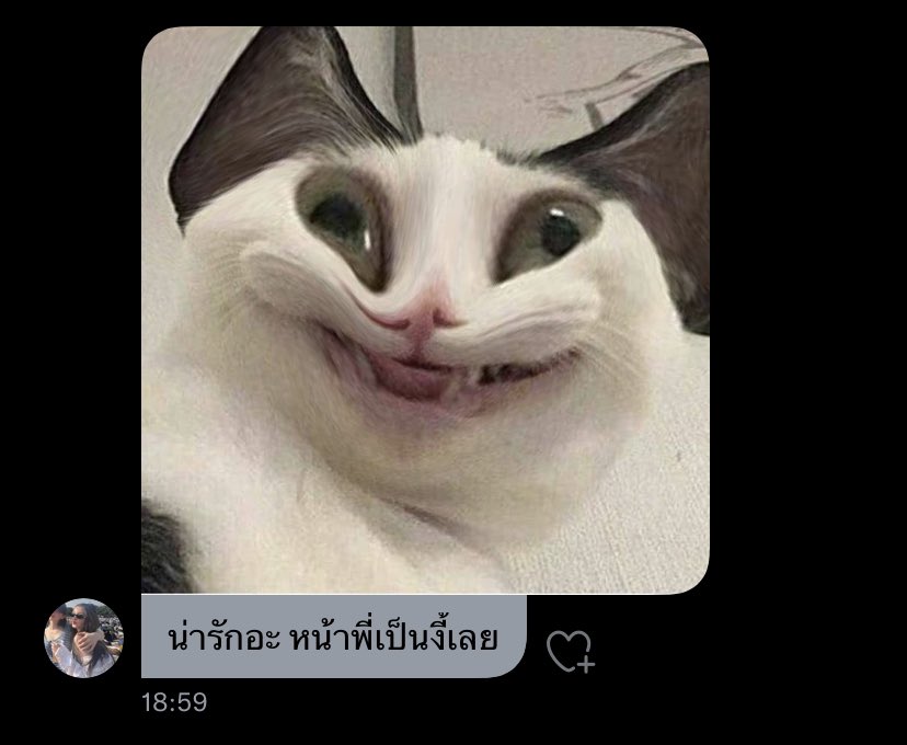 sylvíe tweet media