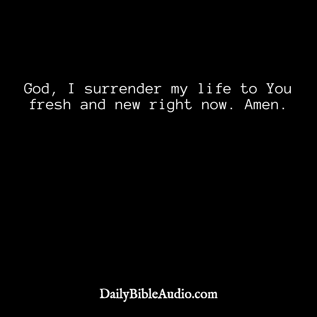 DailyBibleAudi1's tweet photo. AMEN! π π π
.
.
.
#bibleinlife #kingjamesworthy #scripturetruth #scriptureverses #bibleandbusiness #bibleholy #bibleandbeach #bibles #kingjamesholybible #mybible #biblewithyou #biblepraises #biblefacts #inspireprayerbible #biblejournalingministries #bibleversesoftheday https://t.co/WR2YEroWf5