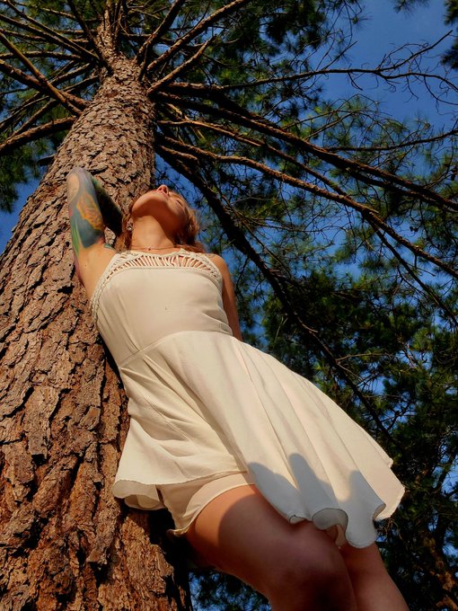 In the Pines 🎶 In the Pines 🎶 Where the ☀️ DOES shine✨️ https://t.co/5SzjB6Qggf