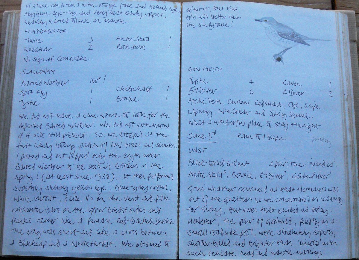 wheretowatch's tweet photo. Marcus @MJLbirder, when you revealed you had moved to Scalloway I immediately thought of this day 32 years ago when me, Chief (Nick Cobb) and Alun Hatfield @bigal7712 were there. (It was only 'better than the sandgrouse' because we didn't see that beauty very well until the 3rd!) https://t.co/dcvd93V0I4