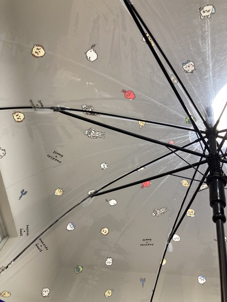 傘買えた♪緑？もあったけど、柄で選んだ❣️