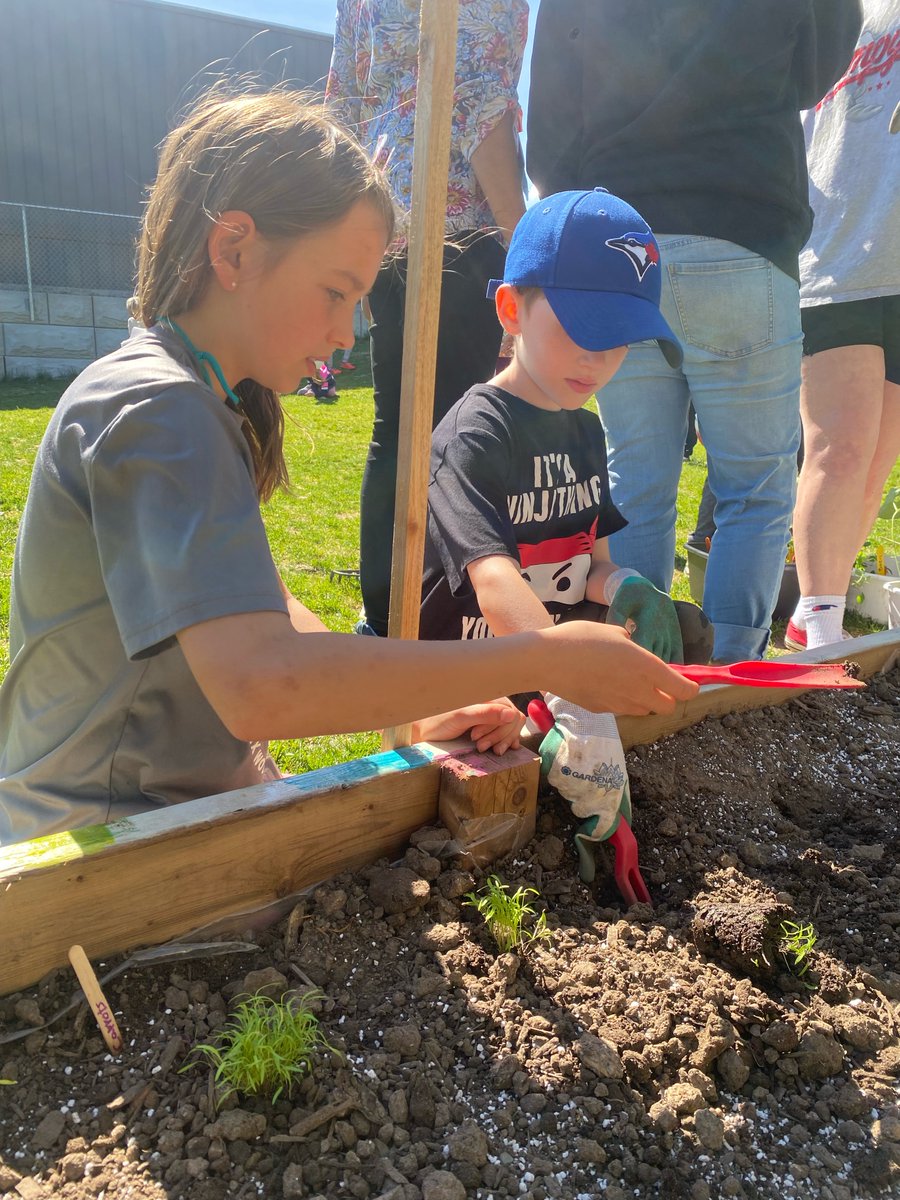 EXCELHRCE's tweet photo. Great team work has been happening at @egwps as the EXCEL students and the learning centre build, paint, plant and care for their new gardens! Thanks @HRCEHealthPromo for helping this project come together!  #SeeWhatImGrowing. https://t.co/lfSQxpEK9I