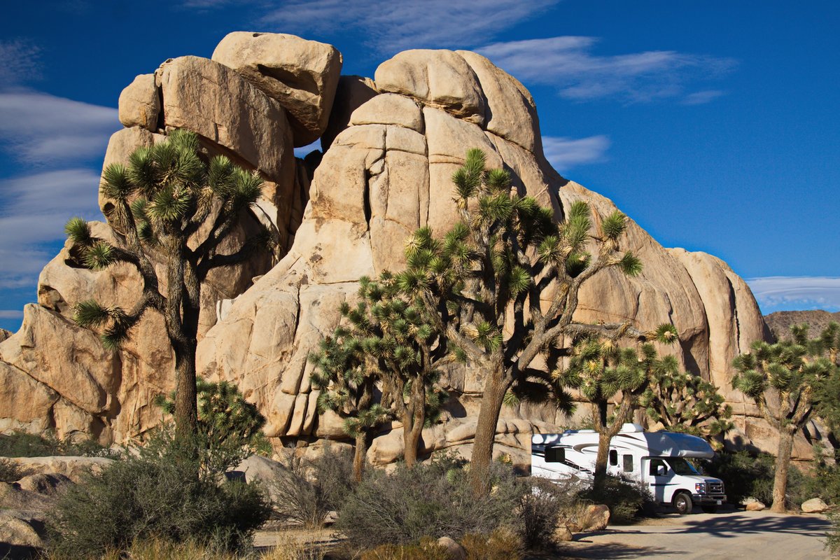 AAAClubAlliance's tweet photo. Are you planning to rent an RV for your summer road trip? We have all you need to know before you hit the road. https://t.co/8ApJwrqCix
#GreatAmericanRoadTrip #AAARoadTrip #RoadTrip #KeepDreamingWithAAA #TravelWithAAA #RVTravel #TravelByRV #RV #Camping https://t.co/nmd5j1MEcr