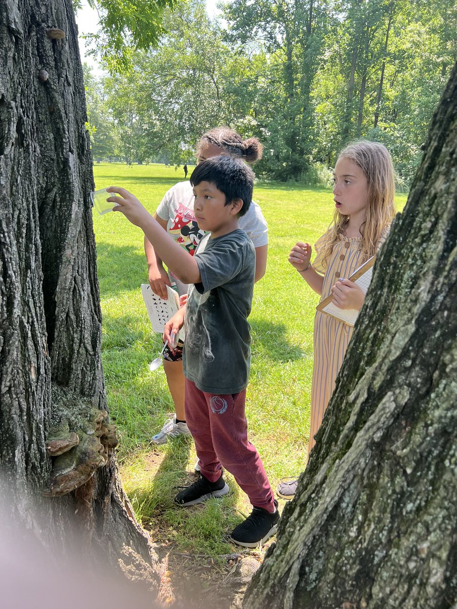 Karina L Washington tweet media