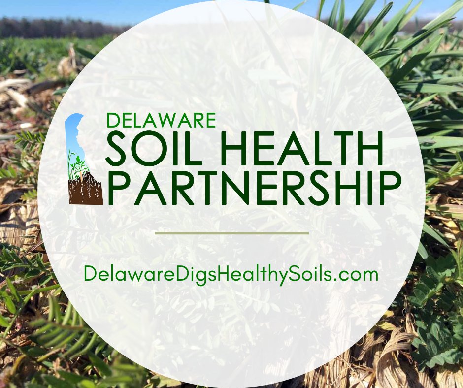 Check out delawaredigshealthysoils.com for all things soil health. It is a one-stop shop for Delaware farmers and partners to find upcoming events, presentations, soil health related resources, and much more. While there, be sure to join the mailing list for updates! #healthysoils