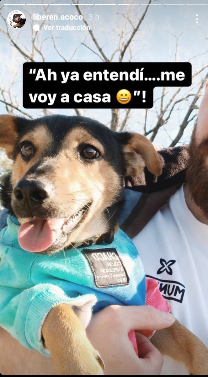 TvVallez's tweet photo. #CocoLibre 
Te quiero Coco. ❤🏠❤🐕❤🏠❤🇦🇷🇦🇷🇦🇷🇦🇷🌞😘🤲🏻😘🌛
#CocoACasa #Coco a #Cordoba https://t.co/bePFf0KjPJ