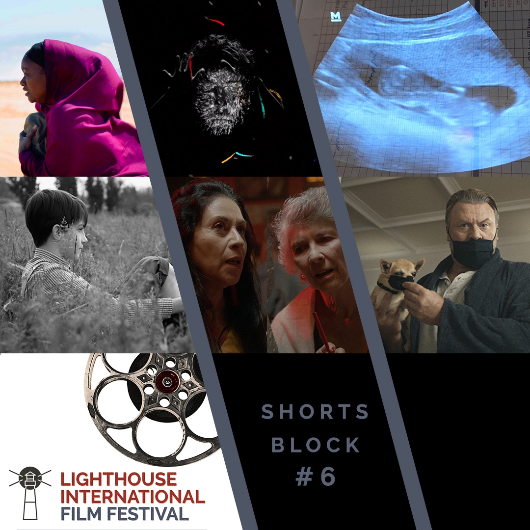 LighthouseFilm's tweet photo. SIXTH SHORTS BLOCK⁠
⁠
1. Ayaan
2. Hallucinate Responsibly
3. On the Pulse of Life
4. Manuel
5. Living All of Life
6. Safe Distance
⁠
Come and watch at the Surf City Firehouse tomorrow (Friday 06/03) at 9:40pm! Get tickets now on our website!⁠ https://t.co/dHfBj8Ygyx