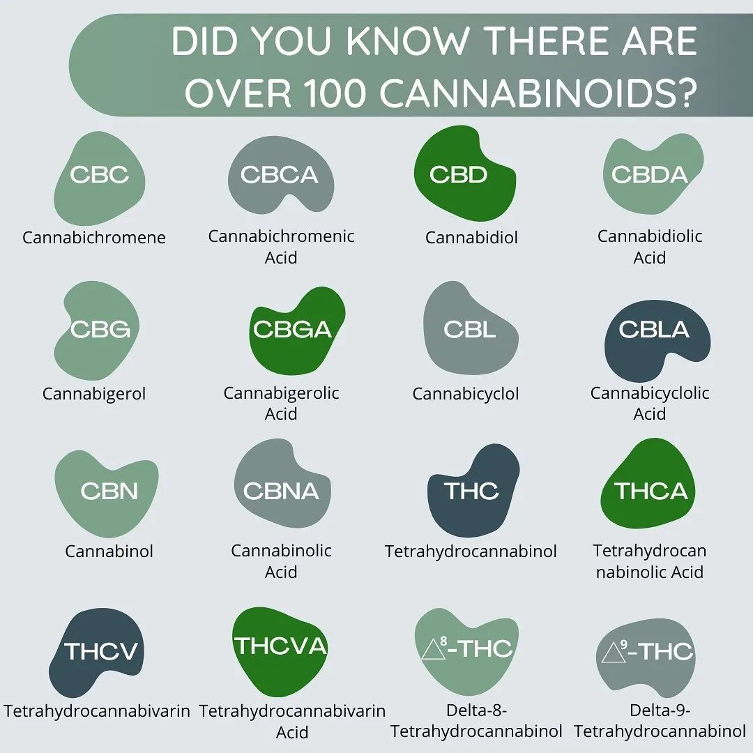 There are over 100 Cannabinoids our receptors love? 🔥🌲
.
.
#CBDProducts #CBDProducts #CBDEdibles #Hemp #CBDOil #cbd #cbdproducts #CBG #GoodCBD #gummiesgang #edibles #hempcommunity #hempheals #cbdforanxiety #cannamom
