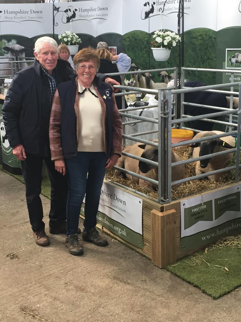 eastfortunefarm's tweet photo. Dickie & Janey Brand showcasing the @HampsSheep trade stand at @nsascotsheep yesterday in Dundee with our Hampshire Down shearling tups and cross LLeyn lambs!
#scottishfarming #awesomegrandparents #makeitbrand #ourfarmlife #eastlothianfarming #terminalsire #hampshiredown #lleyn https://t.co/Jr3CW7riWr