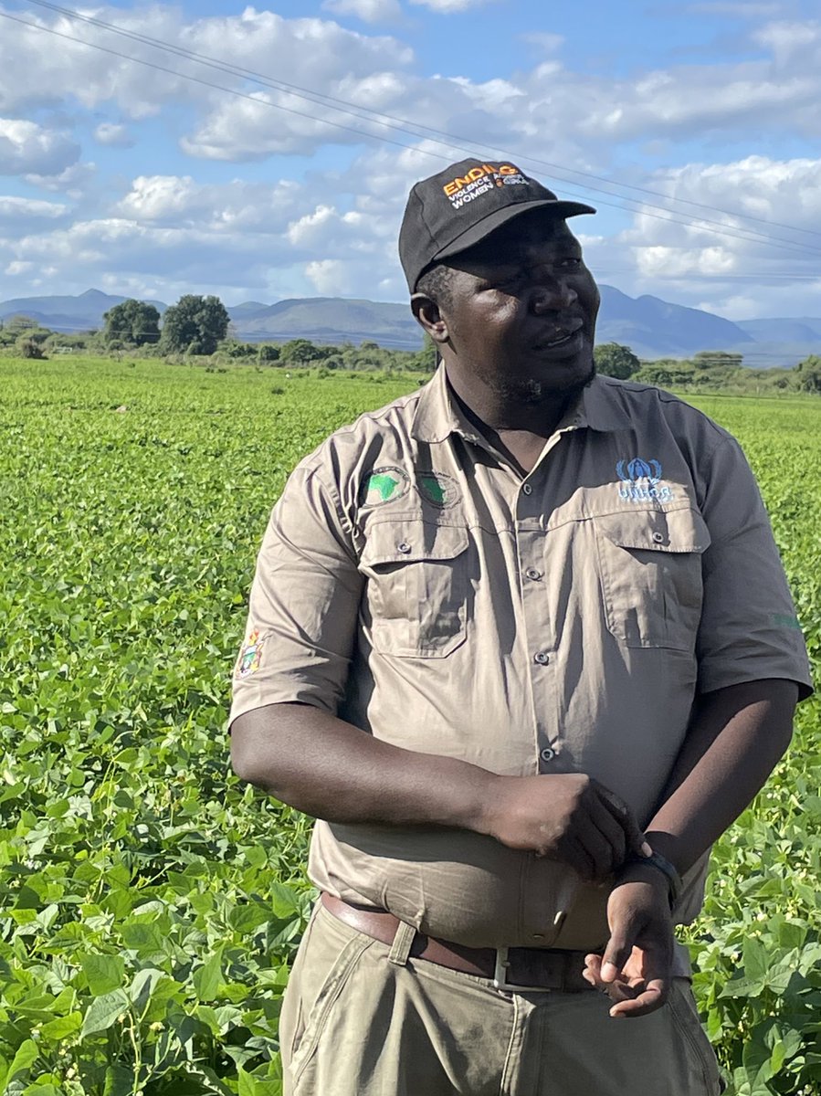 UN Zimbabwe tweet media