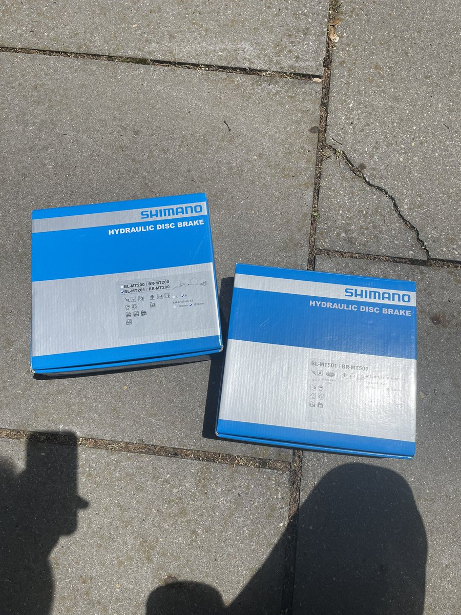 some delicious orange slices tweet media