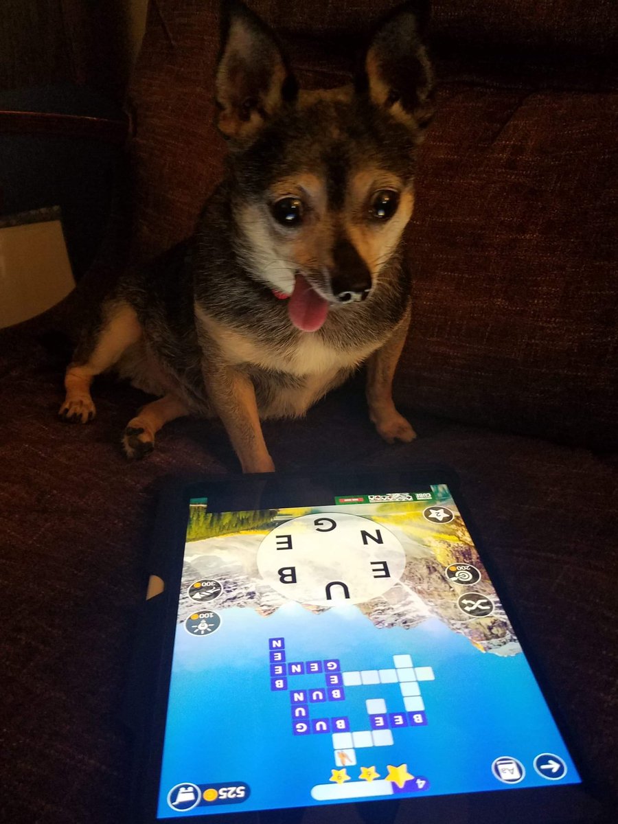 gdentonpink's tweet photo. @WordscapesGame https://t.co/Iw8qyuiJLQ